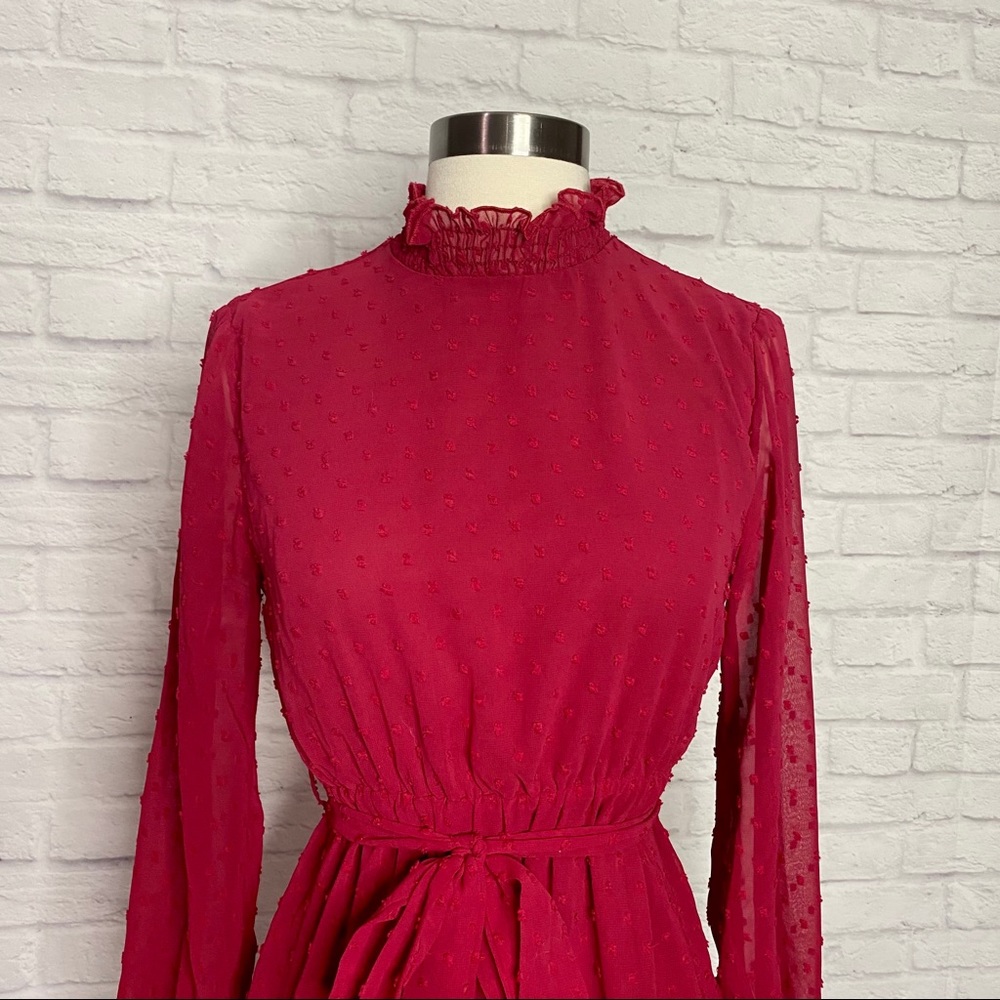 Swiss Dot Dress - image 3